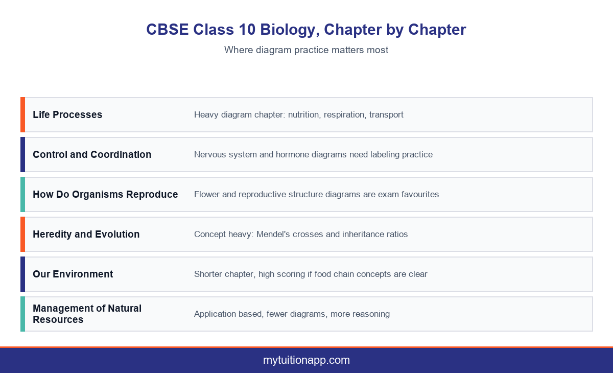 CBSE Class 10 Biology chapters mapped by diagram intensity.